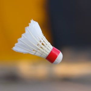 Kit complet badminton (filet + raquettes)